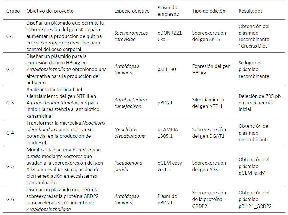 : Proyectos de aula realizados
