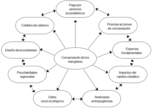  Representación esquemática sugerida para una efectiva conservación de los manglares >