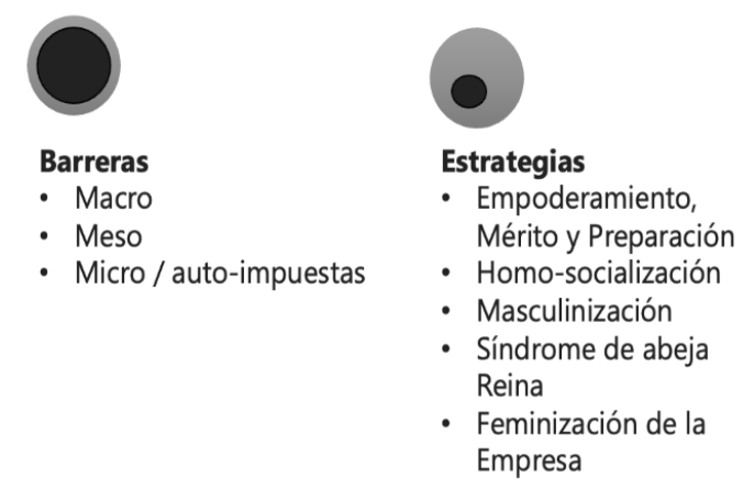 Síntesis de la literatura