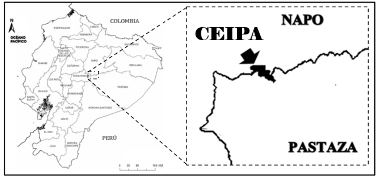 figura1