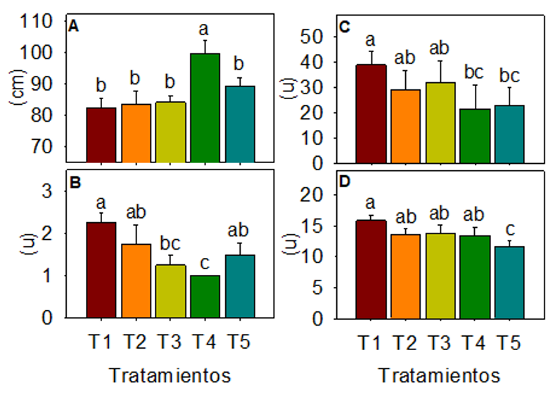 figura3
