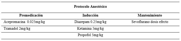 Protocolo anestésico.