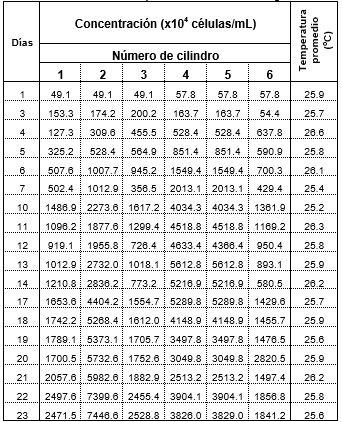 Primer lote de producción de microalgas
