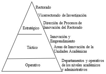 Implementación de la innovación a través de la estructura organizacional