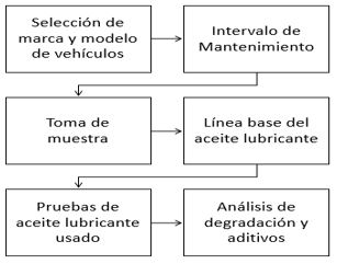 Etapas del proceso investigativo experimental.