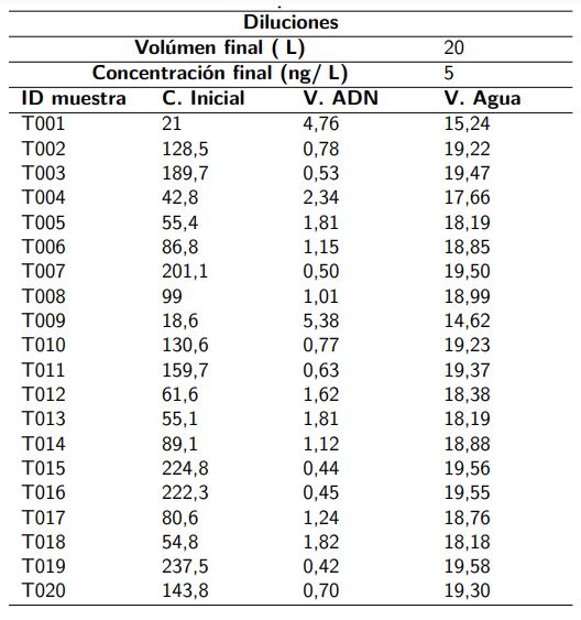 Diluciones de las muestras de ADN de
					Toxocara canis