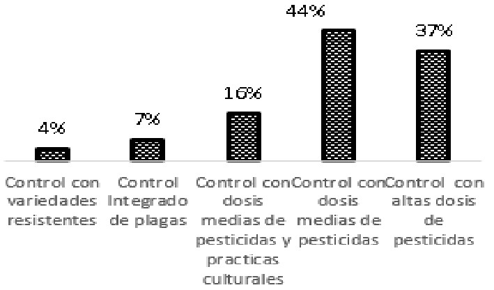 Concepción general del prototipo