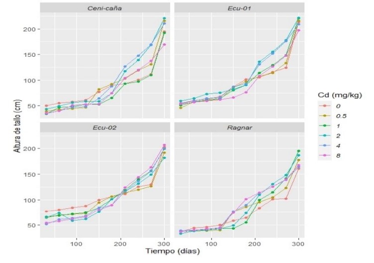 Tasa de Crecimiento después de la
			siembra de los tallos de las variedades Cenicaña,
			Ragnar, ECU-01 y ECU-02, expuestas a diferentes
			concentraciones de Cd (0, 0,5, 1, 2, 4 y 8 mg/kg).