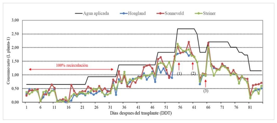 :Agua aplicada y consumo diario de agua por planta de tomate cv. Pietro, cultivado en sustrato inerte, en la provincia de Santa Elena. Flecha indica Inicio cosecha del: (1) 1er racimo, (2) 2do racimo y (3) 3er racimo.