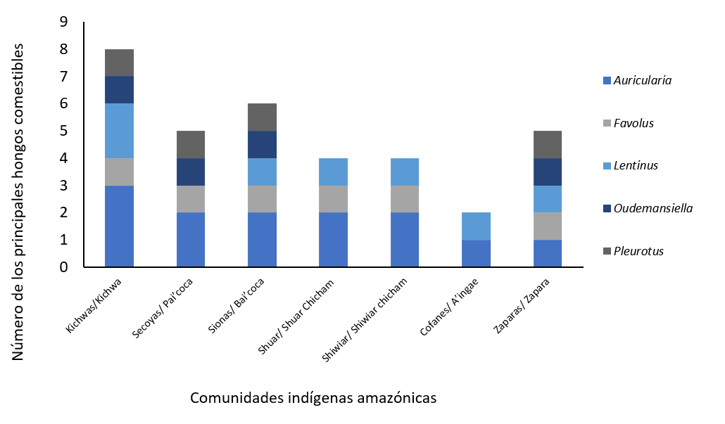 Principales géneros de hongos comestibles encontrados en las comunidades indígenas amazónicas. (Figura basada en el estudio de Gamboa et all (2019) [27])>