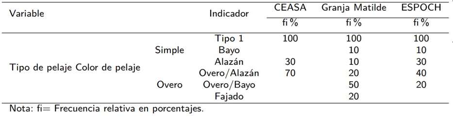 Frecuencias relativas en % de los tipo y color de pelaje de Cavia Porcellus según zonas de procedencia