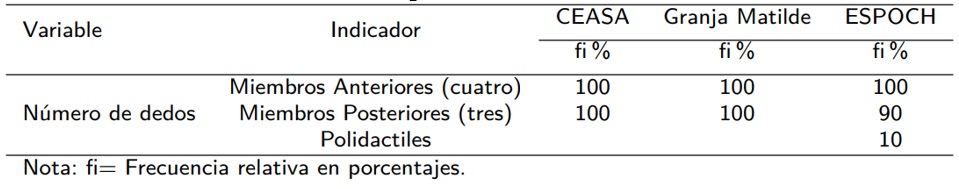 Frecuencias relativas en % del número de dedos de <em>Cavia porcellus</em> según zonas de procedencia