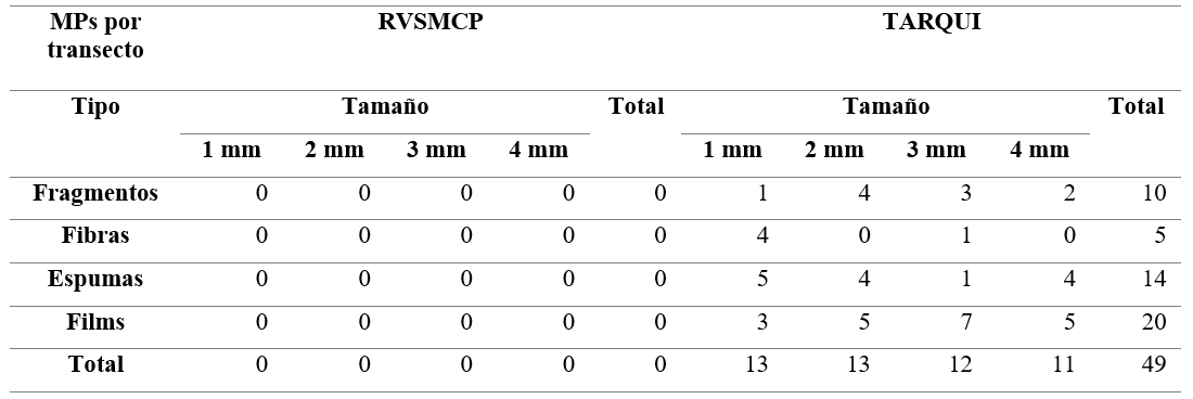 Tamaño y tipos de microplásticos por transecto muestreado en arena del RVSMCP y Tarqui.