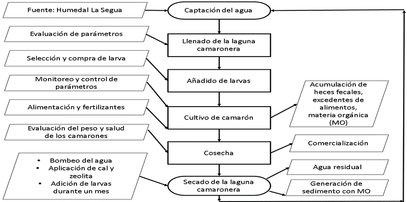 Diagrama de proceso de la piscina camaronera en el Humedal La Segua, Chone.