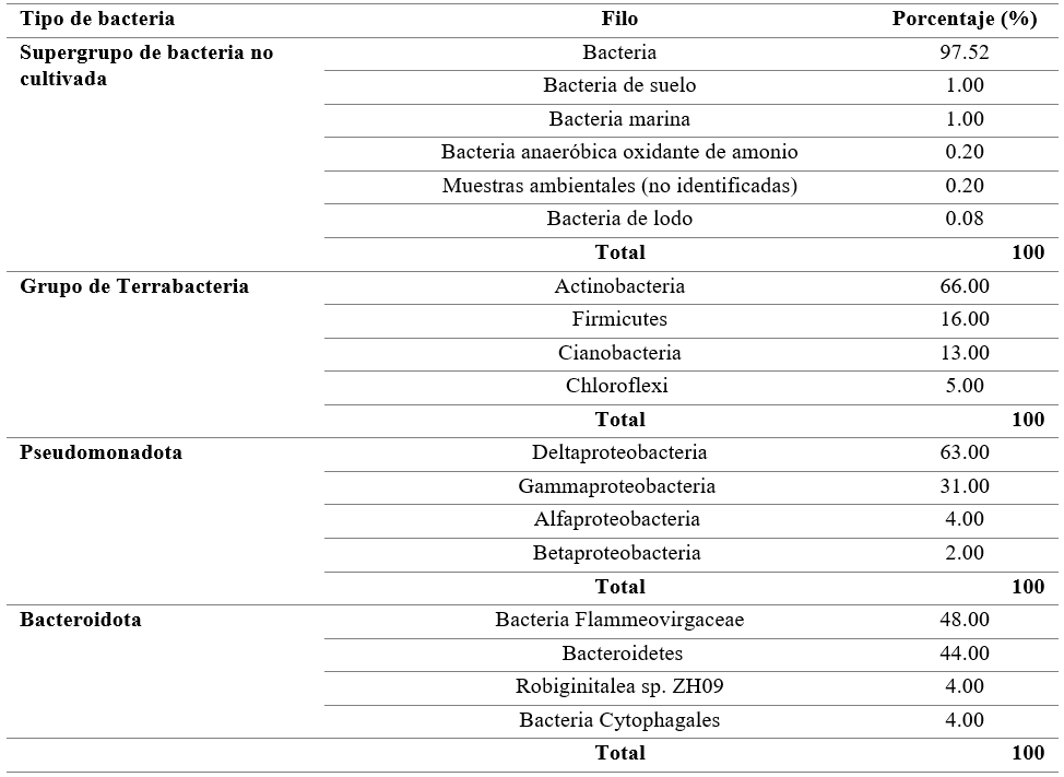 Clasificación de los principales grupos de bacterias identificadas 