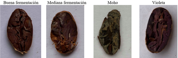 Ubicación Geográfica del RVSMCP y Tarqui.