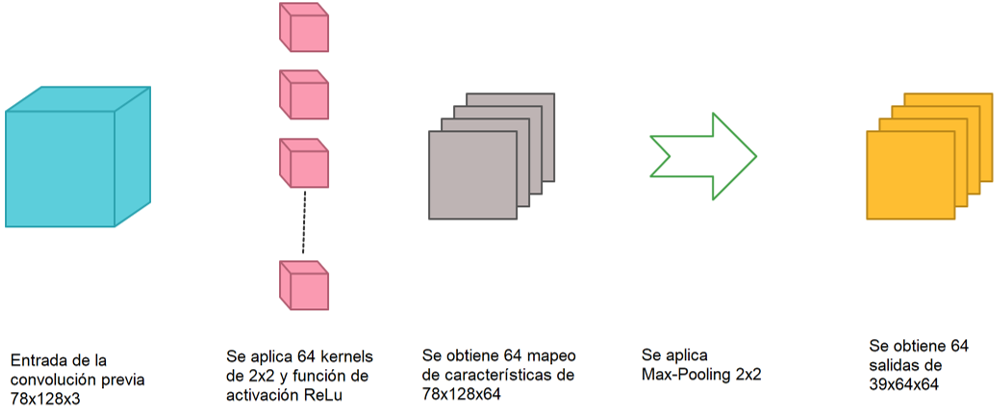 Segunda convolución