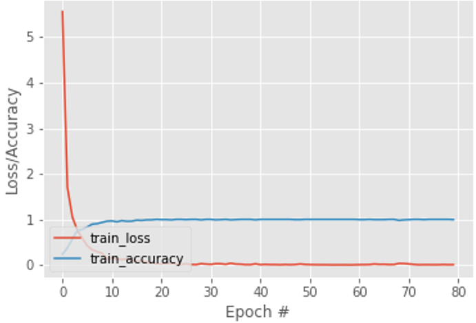 Pérdida de entrenamiento y precisión en el conjunto de datos con 80 épocas - En relación con los datos de entrenamiento