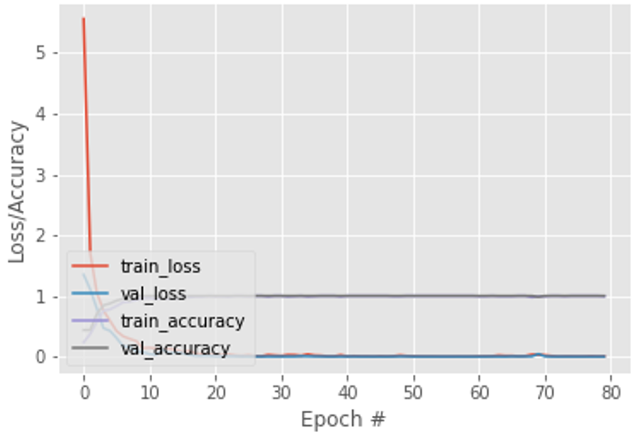 Pérdida de entrenamiento y precisión en el conjunto de datos con 80 épocas - En relación con los datos de validación y entrenamiento.