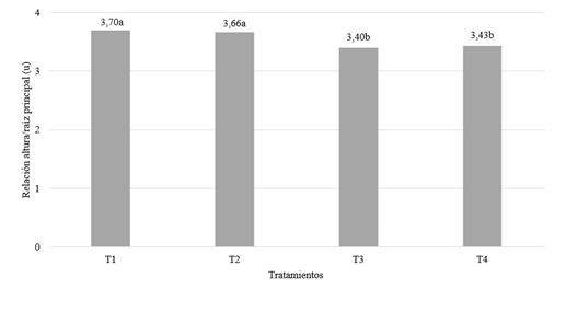 Efecto de la fertilización sobre la relación altura de la planta/largo de la raíz.
a,b,c.… Medias con letras no comunes difieren p≤0,05Tukey [17].